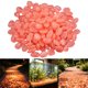 thumbnail image 1 of Piedras Luminosas para Decoración de Jardín y Acuario, Guijarros que Brillan en la Oscuridad, Resina Natural, Uso Interior y Exterior, 150 Piezas, 1 of 9