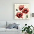 thumbnail image 3 of Trademark Fine Art 'Poppy Buzz I' Canvas Art by Grace Popp, 3 of 3