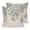 Blue Green, variant on 24x24 Pillow Covers Set of 2, Blue Eucalyptus Coastal Square Throw Pillow Covers for Couch/Sofa/Living Room, Starfish Shell Summer Decorative Soft Pillowcases for Couch Throw Pillows
