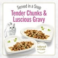 thumbnail image 3 of Purina Fancy Feast Petites Seared Salmon Entree With Spinach in Gravy Gourmet Wet Cat Food Pate, 3 of 11