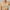 Beige, variant on Jacenvly Bralette for Women Clothes Tube Tops,Large Sports Bra Double Layer Seamless Yoga Running Bra Daily Bra