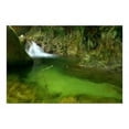 thumbnail image 2 of Reel Fishing Angler's Dream - Wii, 2 of 13