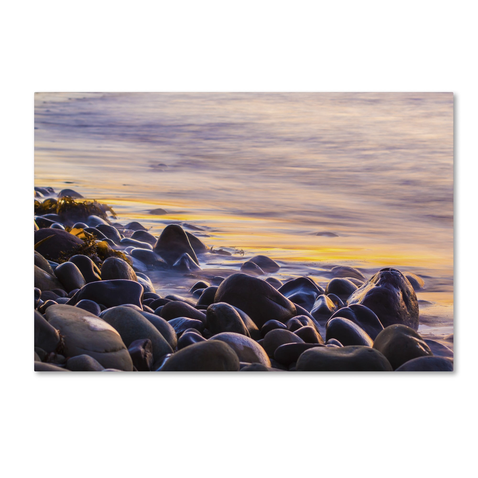 Trademark Fine Art Chris Moyer 'Wet Rock Reflections' 12 x 19 (ALI0767-C1219GG)