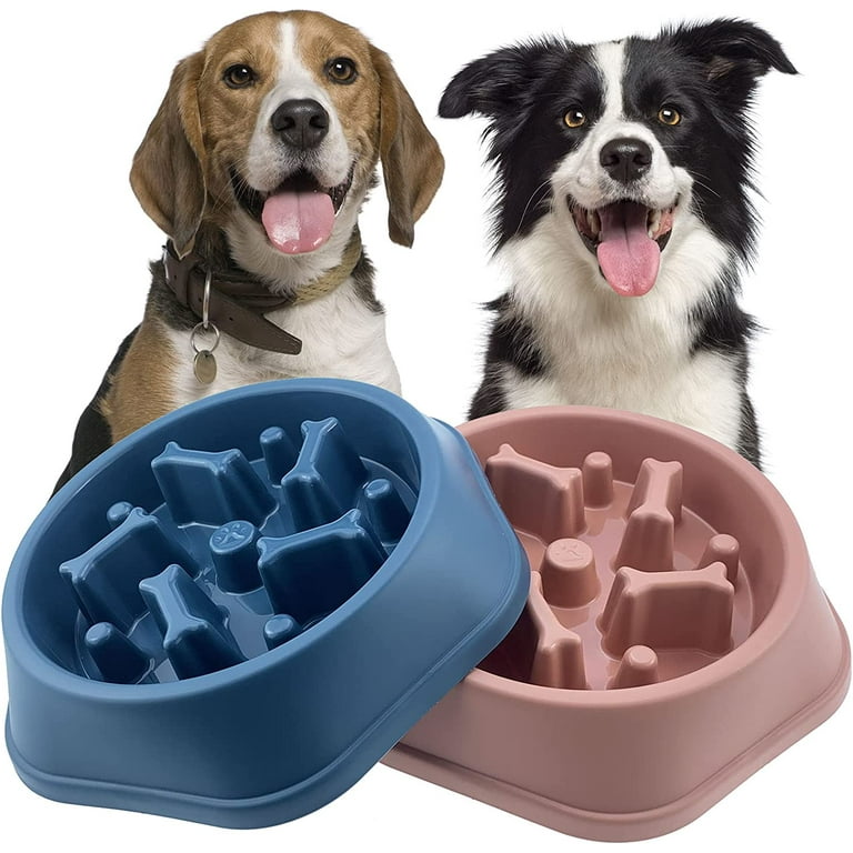 Slow Dog Feeder Slow Feeding Puppy Dog Bowls Food Puzzle Pet Bowl for  Healthy Eating 