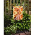 thumbnail image 2 of Carolines Treasures BB9976GF Pharaoh Hound Fall Flag - Garden Size, 2 of 3