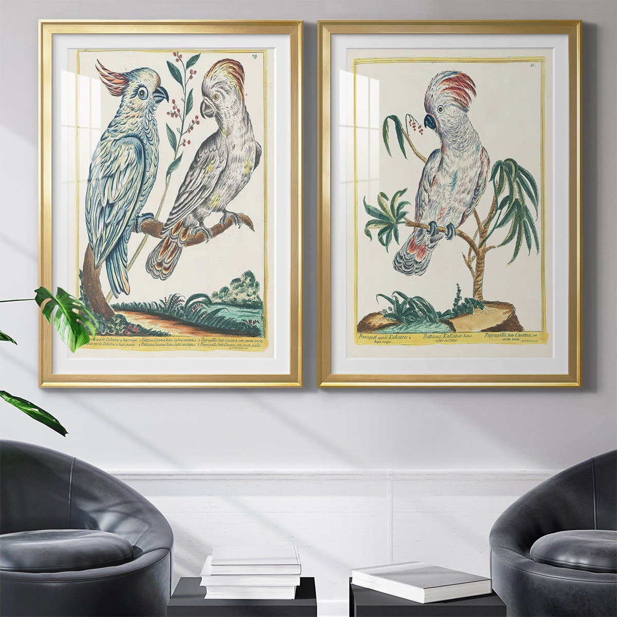 Wexford Home Pastel Birds I Premium Framed Print, 26.5" x 36.5" - Ready to Hang, Gold (Set of 2)