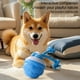 thumbnail image 3 of Para Interactivos Perro en Recargable Medianos Cachorro () Azul, 3 of 9