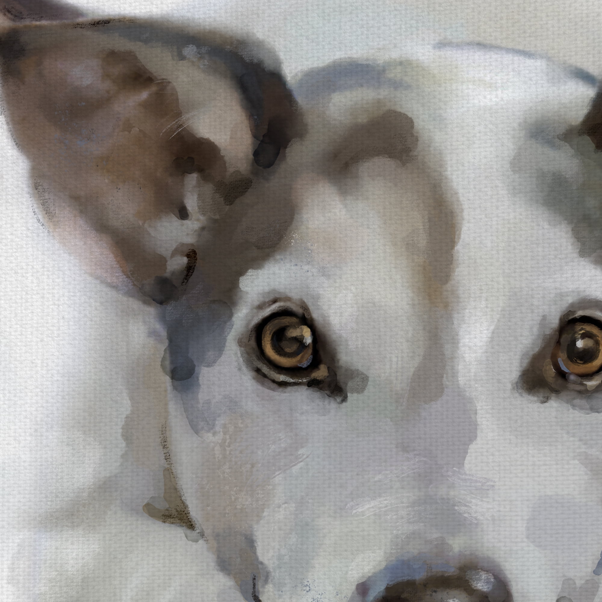 Masterpiece Art Gallery Gallery Hound Dogs I- IV by Studio Arts Canvas Art Print Set of 4 (11" x 14")