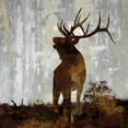 thumbnail image 2 of Colburn, Carl 26x26 Black Ornate Wood Framed with Double Matting Museum Art Print Titled - Elk, 2 of 4