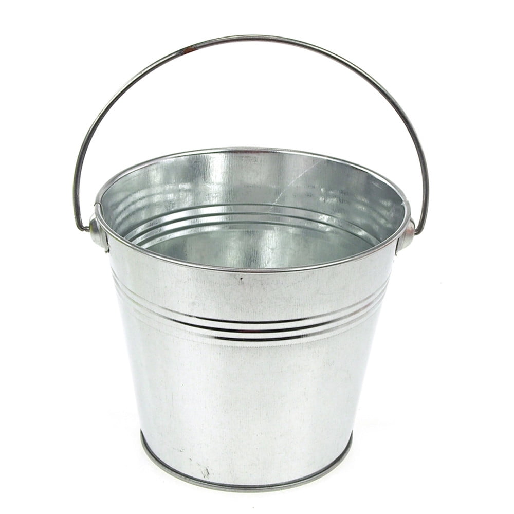 Metal Pail Bucket with Handle, 5Inch, Silver