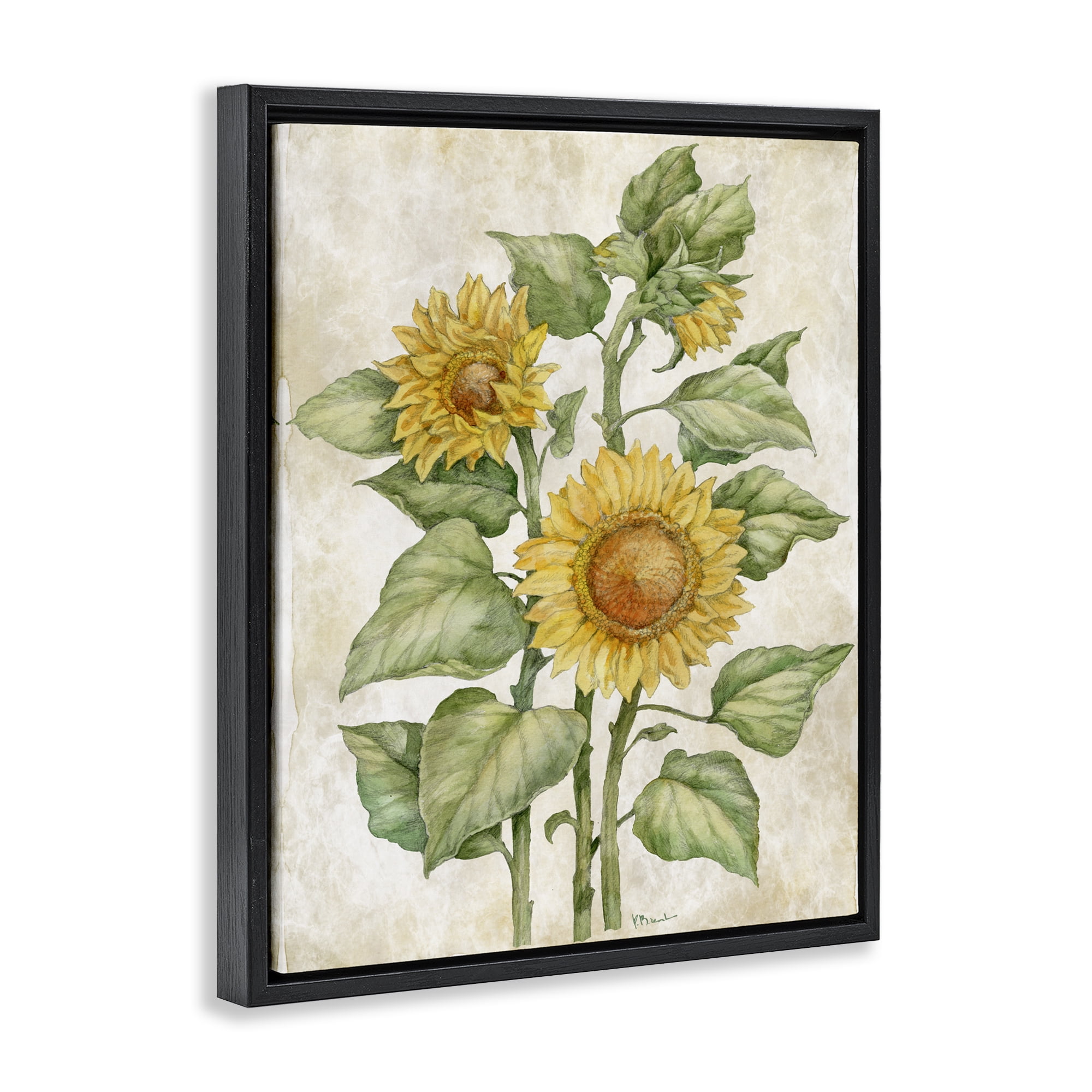 Stupell Industries Floral Journal Sunflower Black Framed Floater Canvas Wall Art, design by Paul Brent