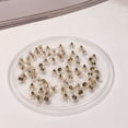 thumbnail image 4 of EeaseCA 300 Pcs Earring Backs DIY Earring Back Clips Practical Earring Stoppers, 4 of 8