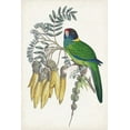 thumbnail image 2 of Vision Studio  11x14 White Modern Wood Framed Museum Art Print Titled - Tropical Bird and Flower II, 2 of 4