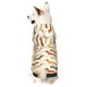thumbnail image 1 of Fotbe Dachshund Sudadera con Estampado para Perros Pequeños – Suéter con Capucha para Mascotas, Tela Suave de Forro Polar con Bolsillo-Medium, 1 of 7