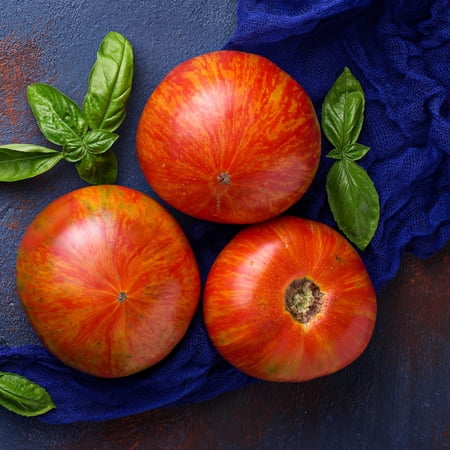 Tomato Seeds - Tigerella - 0.25 Oz ~1 875 Seeds - Solanum lycopersicum - Farm & Garden Vegetable Seeds - Non-GMO Heirloom Open Pollinated Annual