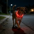 thumbnail image 6 of Eespoir Light Up Dog Collar, Led Dog Collar USB Rechargeable Flash Dog Necklace, Pet Safety Collar for Night Walk, Visibility, Small Medium Large Dogs(Red), 6 of 6