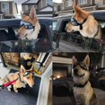 thumbnail image 2 of Pet Glasses, Waterproof, Windproof And Sunscreen Glasses For Medium-sized Dogs, 2 of 2