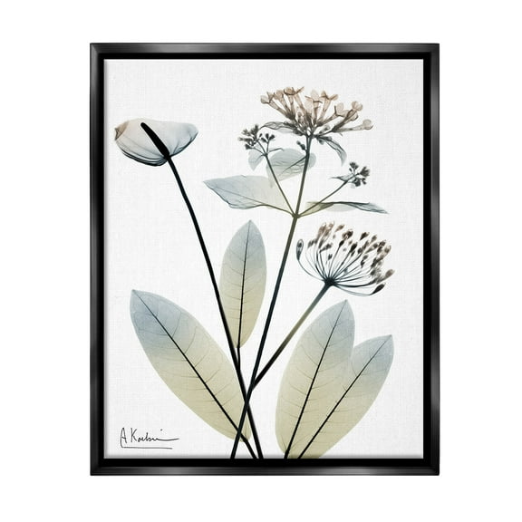 Stupell Industries Contemporary Flower Shapes Botanical & Floral Photography Black Floater Framed Canvas Art Print Wall Art, 17 x 21