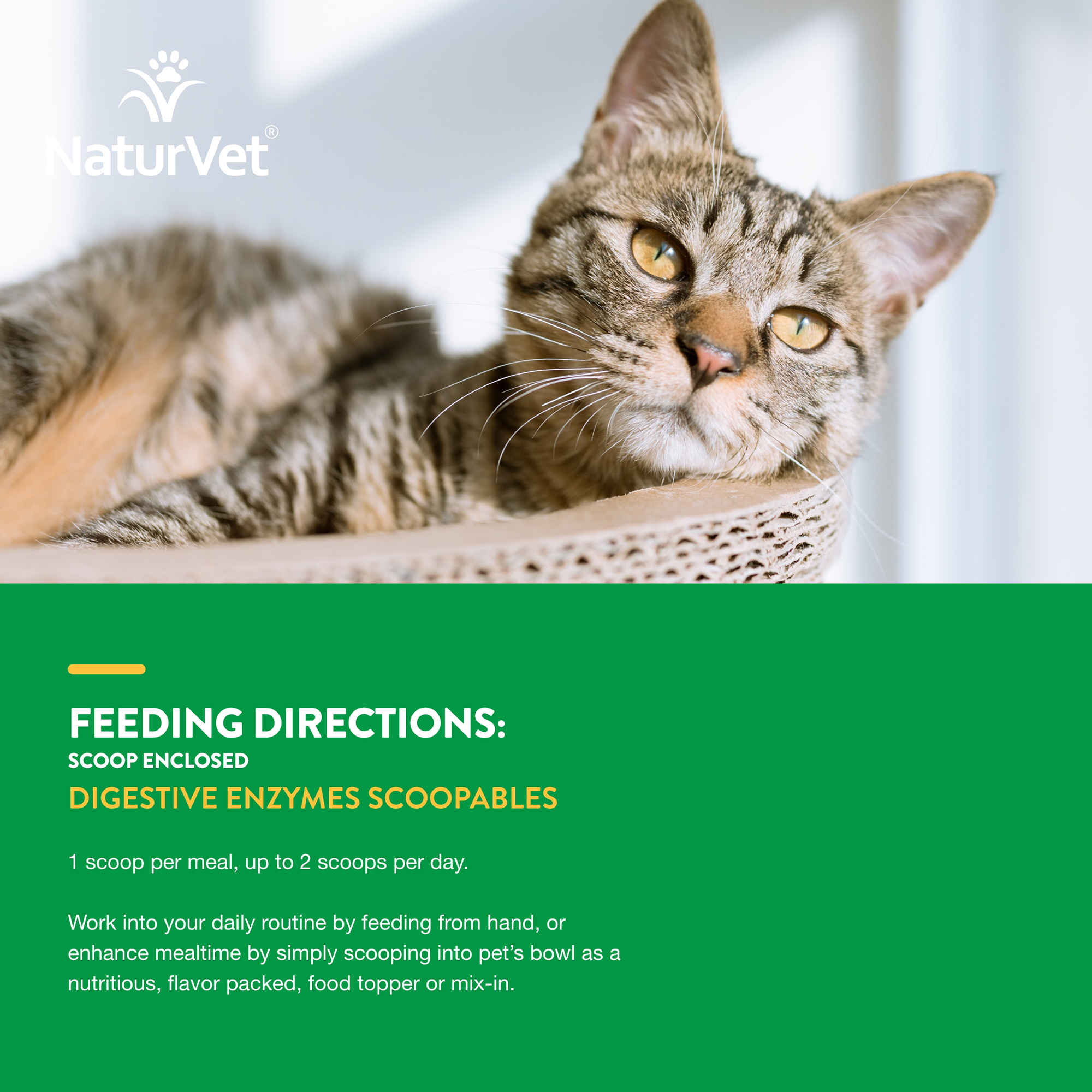 NaturVet Scoopables Digestive Enzymes, Cat Supplements, 45 Scoops
