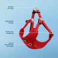thumbnail image 5 of Best Pet Supplies Voyager Adjustable Dog Harness with Reflective Stripes for Walking, Jogging, Heavy-Duty Full Body No Pull Vest with Leash D-Ring, Breathable All-Weather - Harness (Red), S, 5 of 6