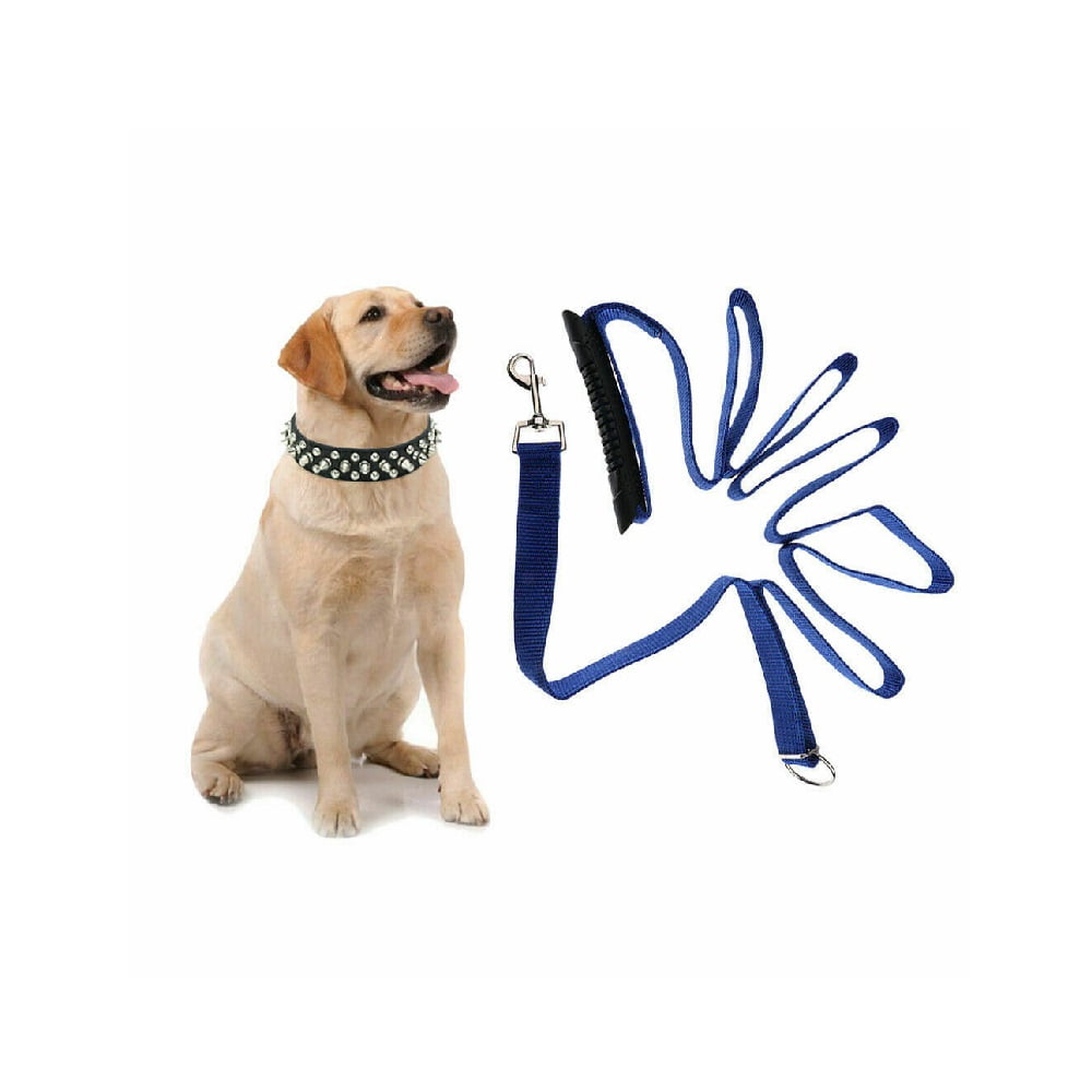 Dog Leash Trains Dogs 30 Lbs Stop Pulling As Seen On TV Dogwalk