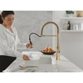 thumbnail image 7 of Delta 18887-Dst Ermelo Pro 1.8 GPM Single Hole Pre-Rinse Spring Spout Pull Down Kitchen, 7 of 7