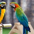 thumbnail image 2 of SHISUYAN 2Pcs Creative Pigeon Rest Stand Parrot Dove Standing Rack Wooden Pet Perch, 2 of 7