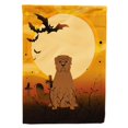 thumbnail image 1 of "Treasures BB4339GF Halloween Dogo de Boudreaux Bandera de tamaño de jardín, pequeña, multicolor" Caroline's Treasures BB4339GF, 1 of 1