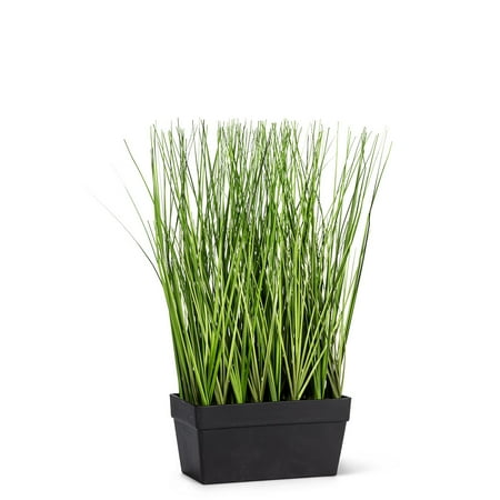 Set of 2 Long Grass in Rectangle Pot