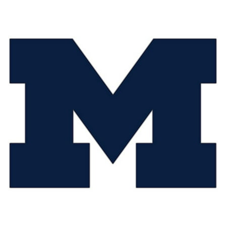 Michigan Wolverines 24" Logo Cutout Sign