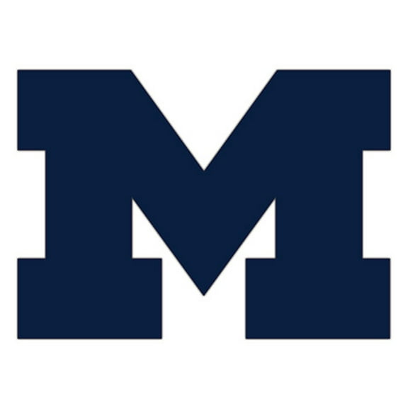 Michigan Wolverines 24" Logo Cutout Sign