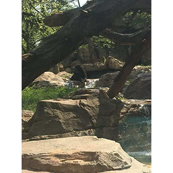 Pre-Owned Adventures Of Beekle Unimaginary Friend Paperback