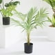 thumbnail image 4 of Planta falsa palmera Areca en maceta Billuyoard decoración, 4 of 6