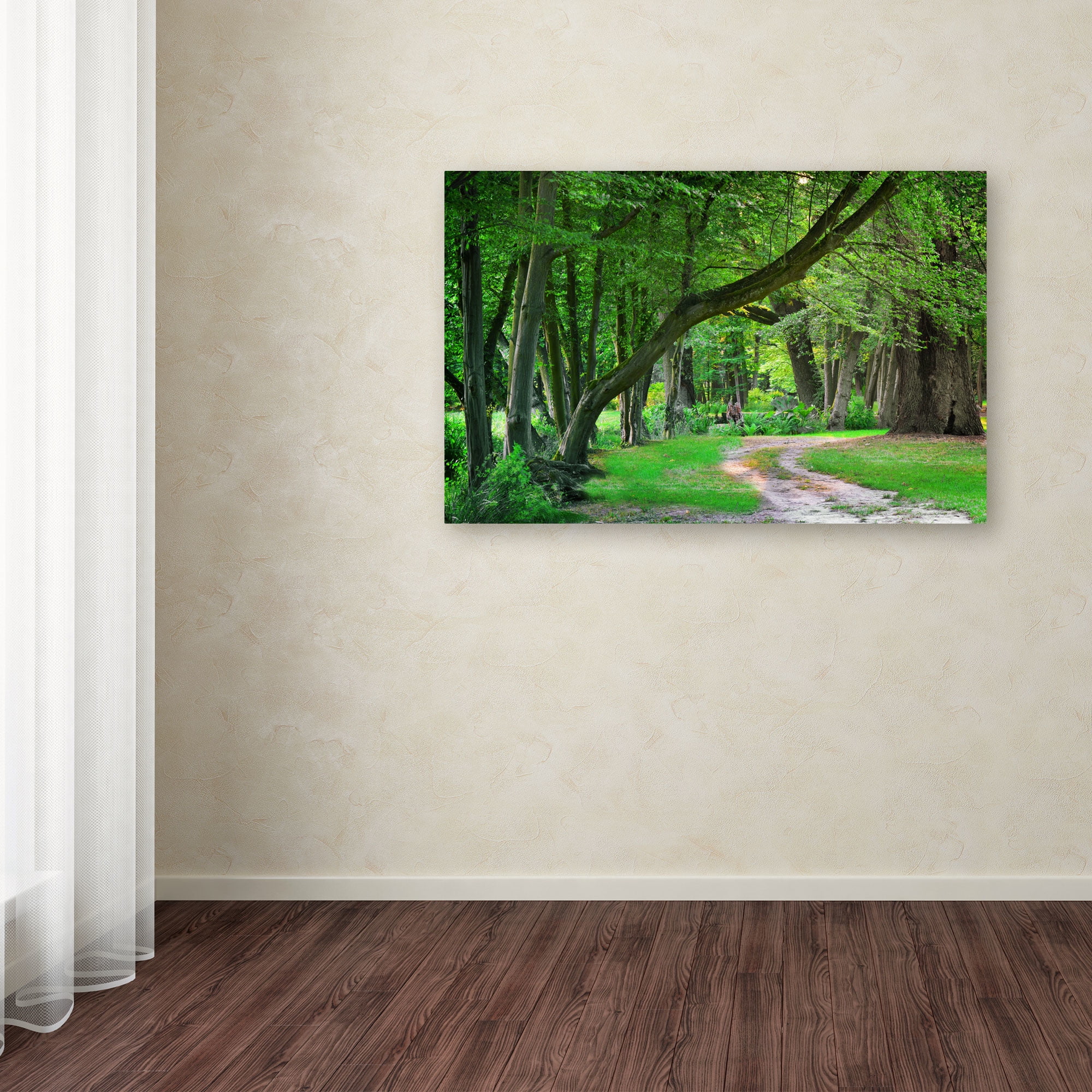 Trademark Fine Art "Intimate Landscape" Canvas Art by Philippe Sainte-Laudy