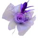 thumbnail image 4 of s para mujer y niña, pinza para el pelo, sombrero con horquilla, , cóctel, boda de té, sombrero , púrpura Violeta Soledad Clip de pelo de las mujeres, 4 of 7