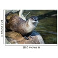 thumbnail image 2 of Wallmonkeys River Otter Peel and Stick Wall Decals Mural WM126104 (18 in W x 12 in H), 2 of 4