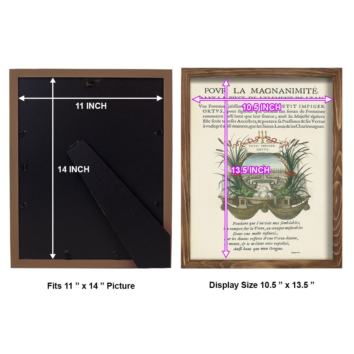 Printed Embellished Bookplate II - Framed Print w/glass - Walnut