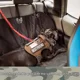 thumbnail image 5 of Correa Táctica Con Hebilla De Seguridad Para Perro, 5 of 7