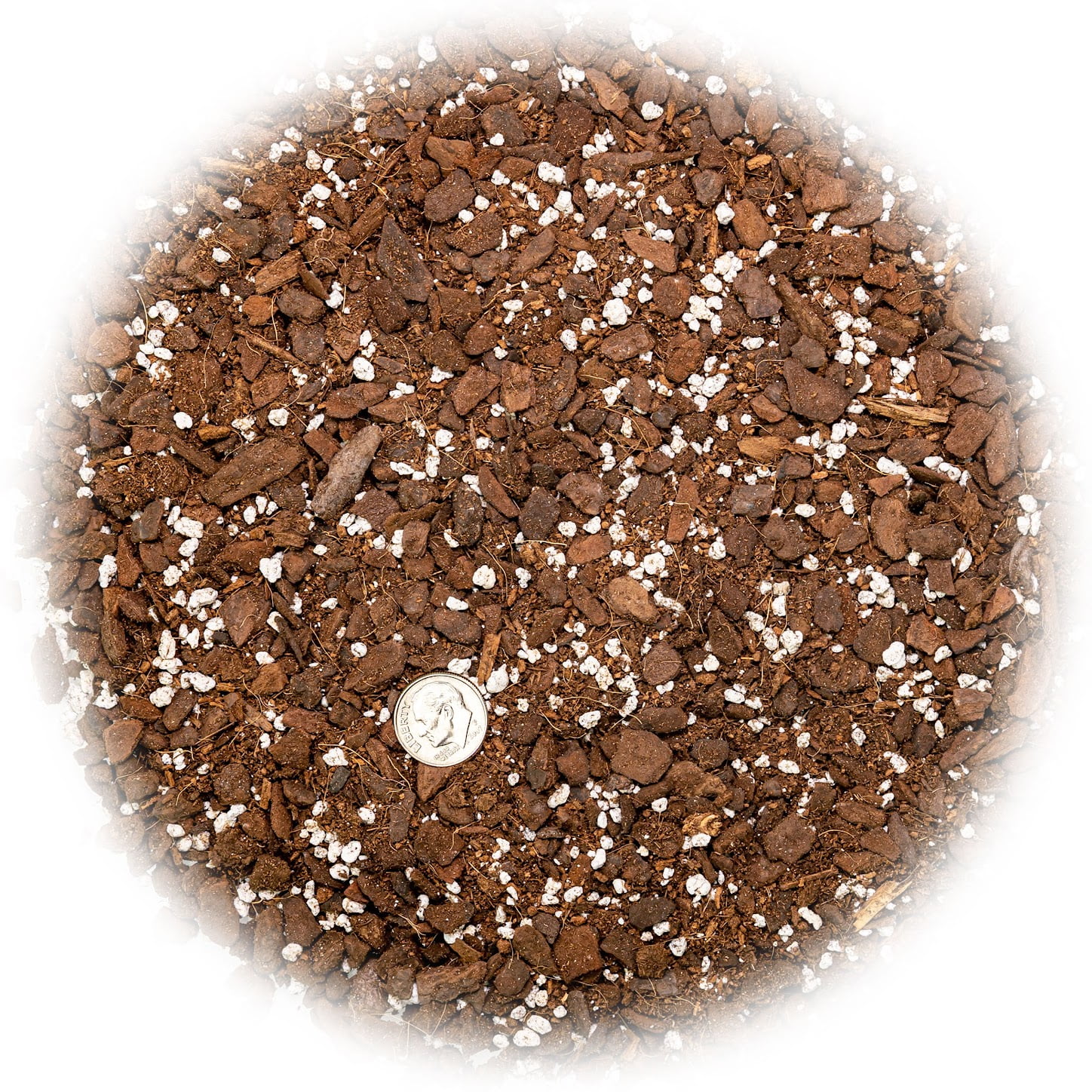 ⭐ PREMIUM Monstera Potting Soil - Quick Drain Potting Soil for Growing and Repotting Monstera Deliciosa/Swiss Cheese Plant [3 Quart Bag] by ://N ★ LOVA