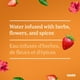 Eau infusée fraise, hibiscus et basilic Oasis Infusion 1 L – image 3 sur 6