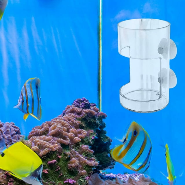 Mangeoire à Poisson à Ventouse Plateau Alimentaire Flottant Accessoire de Réservoir avec Support Sécurisé