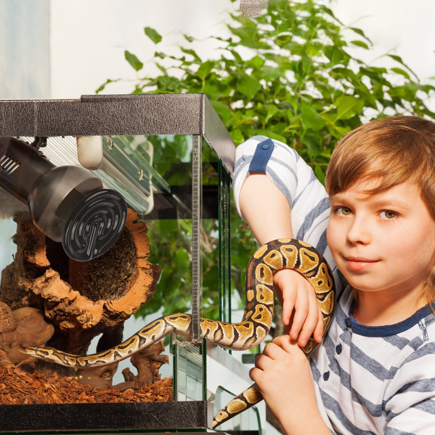 HealSmart 150W Ceramic Heat Emitter Bulb - No Light Reptile Heat Lamp For Terrariums, Brooders, Chickens, Amphibians