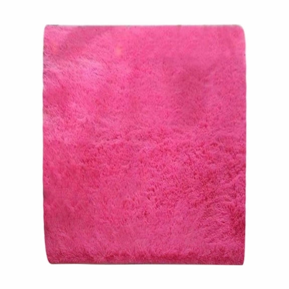 Modern Soft Fluffy Small Shaggy Rug for Bedroom Livingroom Dorm Kids Room Indoor Home Decorative, Non-Slip Plush Furry Fur Area Rugs Comfy Nursery Accent Floor Carpet