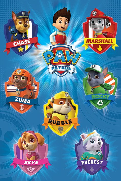 paw patrol tv set