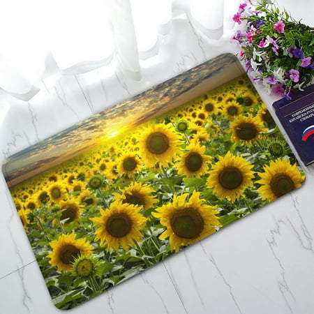 Nature Nap Mat PHFZK Beautiful Sky Cloud Doormat, Nature Art Sunflower Field Landscape Doormat Outdoors/Indoor Doormat Home Floor Mats Rugs Size 30x18 inches ()