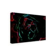 thumbnail image 2 of Eva Bane 'Neon Glow in the Dark 02' Canvas Art, 2 of 3
