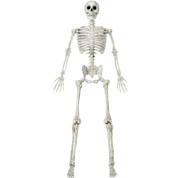 JOYIN 83-Inch Halloween Life-Size Posable Skeleton Bones with Moveable Joints