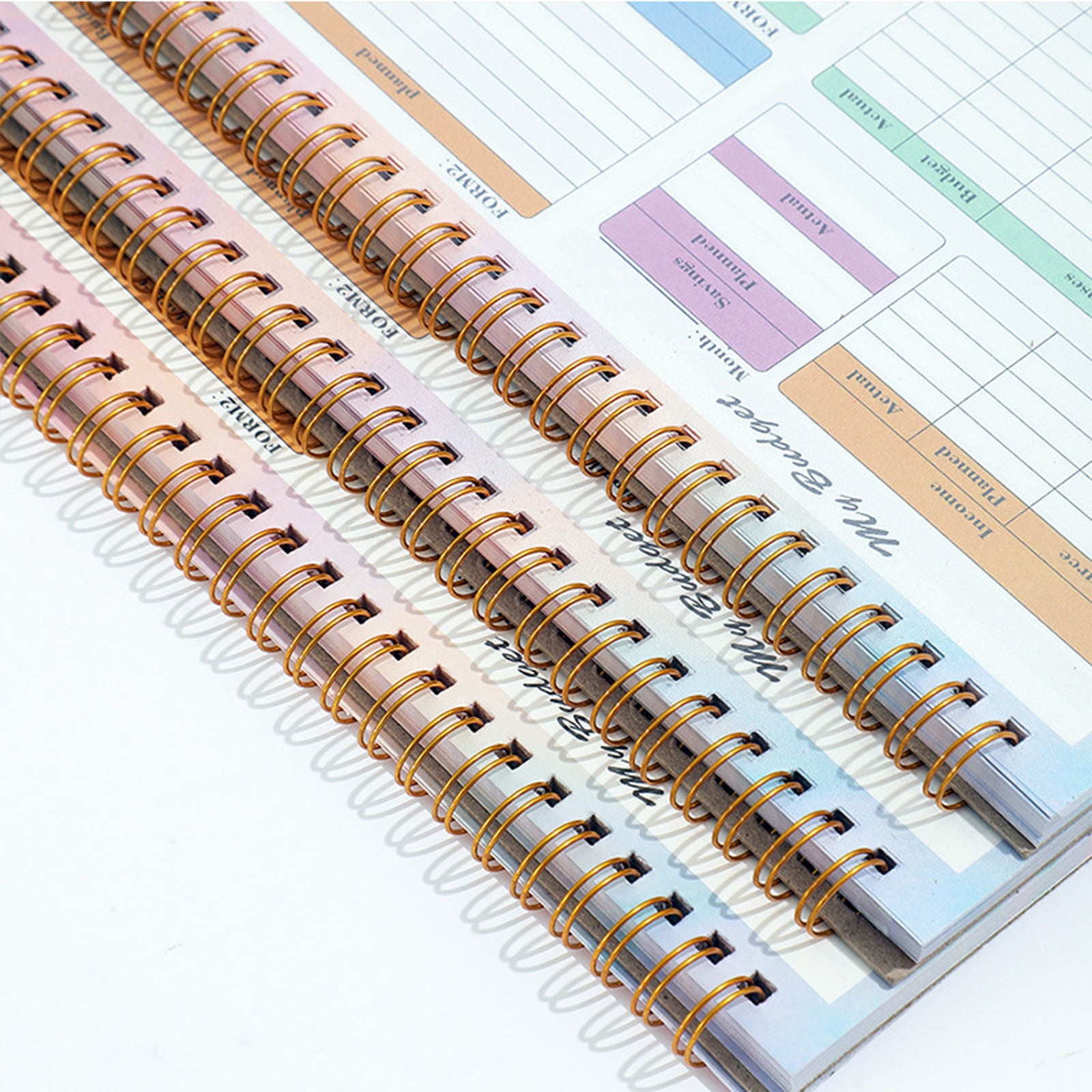 Budget Planner, Monthly Budget Book Bill Organizer, Undated Home Finance Money Expense Saving Debt Tracker Notebook, Spiral Design, 1 Year