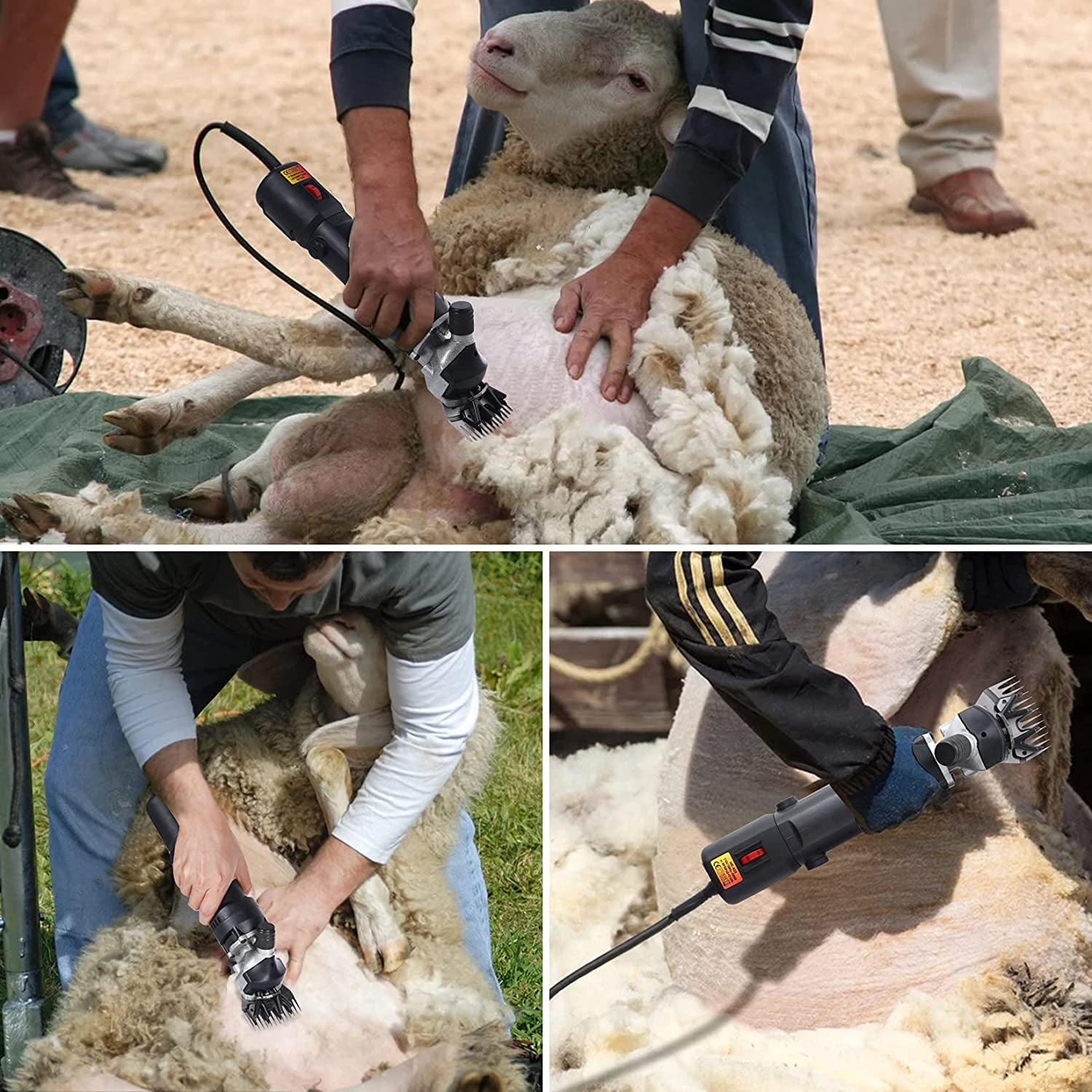 Sheep Shears 5 32-447