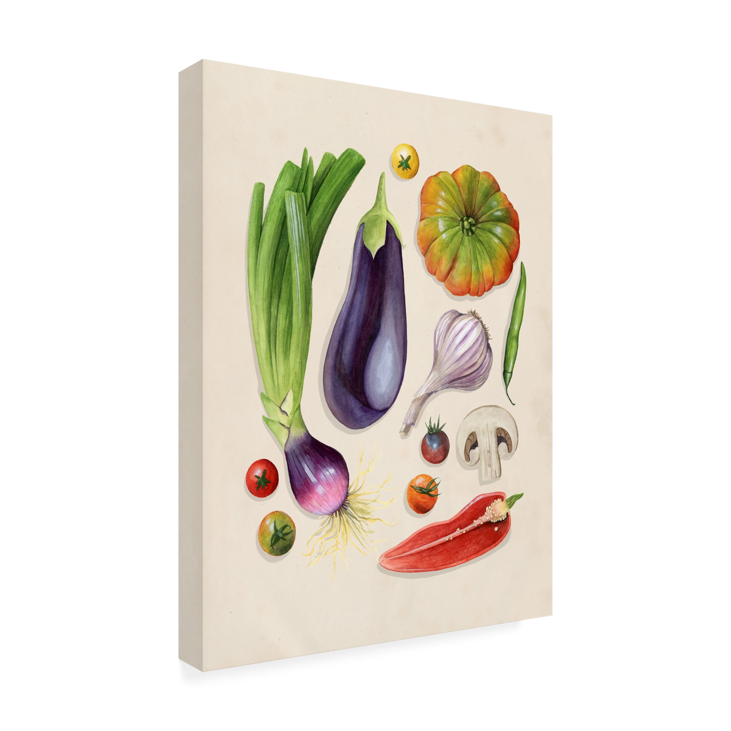 Grace Popp 'Vegetable Garden I' Canvas Art